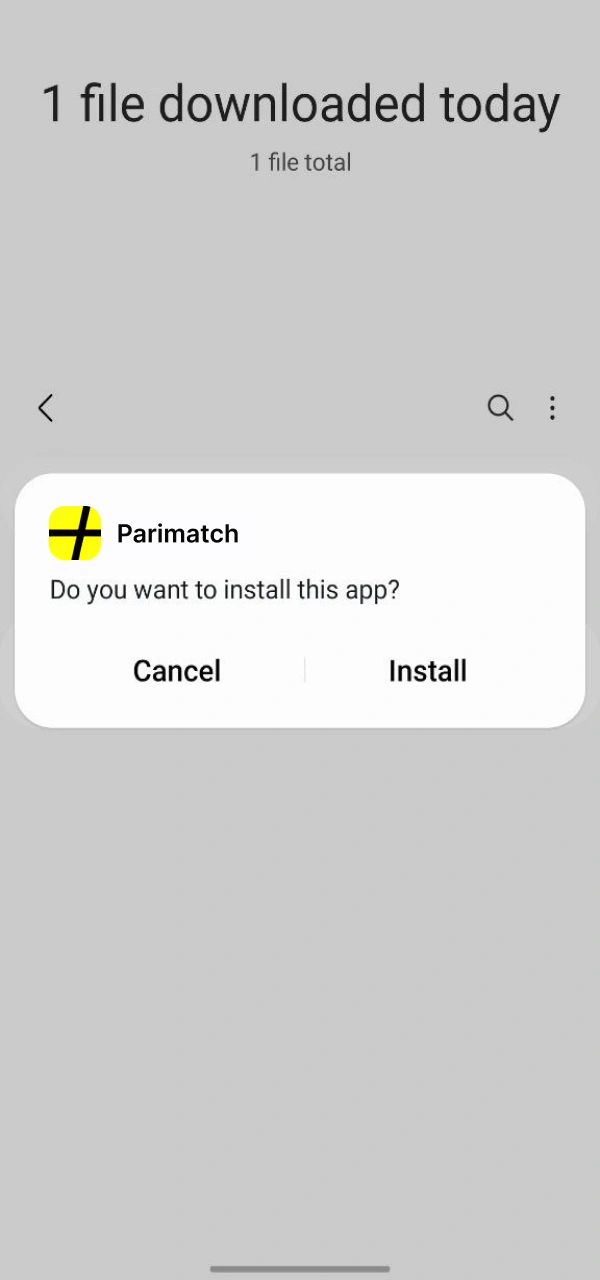 Finalize the Parimatch Android APK setup to begin betting on cricket.
